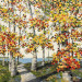 Dancing Leaves 18 x 18 Oil and Wax